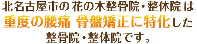 北名古屋市の花の木整骨院・整体院は「重度の腰痛専門」の整骨院です。